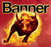 Banner Batteries