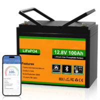 LiFePO4 batteri m/APP og BMS 12V, 100Ah